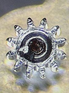 Maurice Lacroix – caliber ETA 2893-2