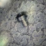 Afgebroken rotor-as uit het Rolex caliber 645